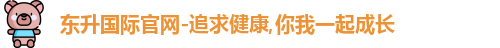东升国际